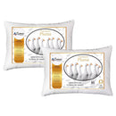 Kit de 2/4 Travesseiros Pluma de Ganso